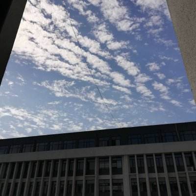 二战世界手游下载